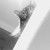 :iconanimalcrazy22: