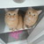 Animallover24689 :iconanimallover24689: