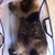 :iconanimallover511: