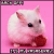 :iconanimallover624: