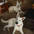 :iconanimalnotions20650: