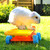 :iconanimalphoto: