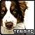 :iconanimaltraining: