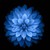 :iconanimaocean: