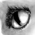 :iconanimated-organs: