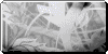 :iconanimation-studios: