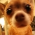 :iconanimationfan320: