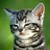 :iconanimaux79: