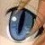 :iconanime-nerd-izumi: