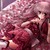 :iconanimeangel193:
