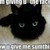 :iconanimechic221: