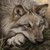 :iconanimefan32535: