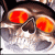 :iconanimefan4u2know: