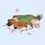 :iconanimefreak1991: