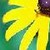 :iconanimefreak22135: