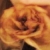 :iconanimegirl20: