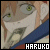 :iconanimeharuko: