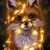 animeloverforever199 :iconanimeloverforever199: