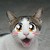 :iconanimemanga4evermore: