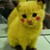 :iconanimenekodoki: