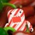 :iconanimerocks137: