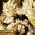 :iconanimerocks55: