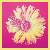 :iconanintentionalpoet: