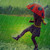 :iconanisasweet: