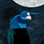 :iconanitabijsterbosch: