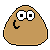 :iconanitaediciones: