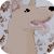 :iconanitaman: