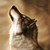 :iconaniuthebrownwolf: