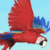 :iconanjamagkekse: