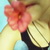:iconanjun: