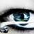 :iconAnKi91: