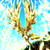 :iconankmk: