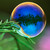 :iconankzz013: