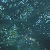 :iconanm-ounm: