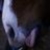 :iconanmo:
