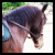 :iconanna-lise: