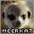 :iconannabeast: