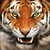 annabelan :iconannabelan: