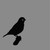:iconannabird5: