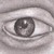:iconannaeiram: