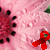:iconannaethgreenleaf: