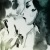 :iconannagreer: