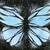 :iconannahamre99:
