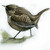 :iconannakuad: