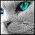 :iconannaluvsgymnastics: