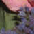 AnnaMayLover :iconannamaylover: